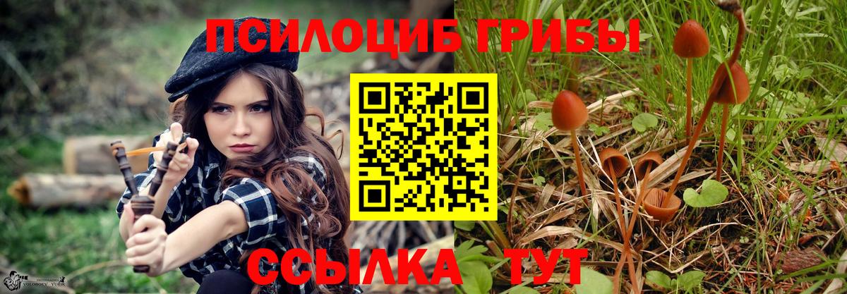 Псилоцибиновые грибы прущие грибы  Вход с VPN  Баксан  Псилоцибиновые грибы мухоморы 