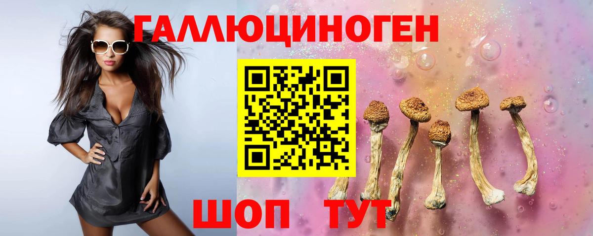 Галлюциногенные грибы мицелий Баксан